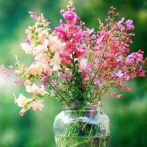 Meet your Posher, Reina